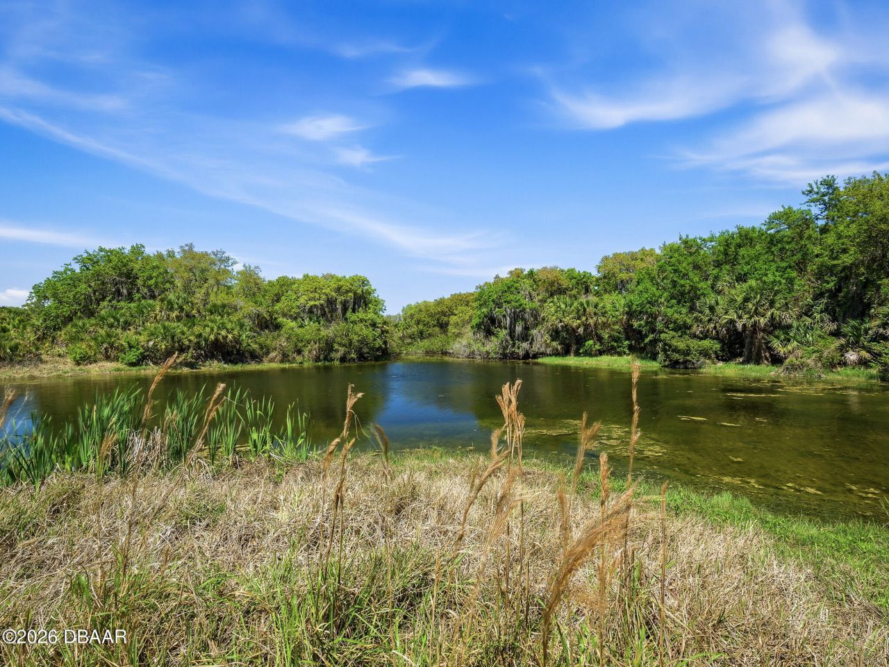387 Marsh Landing Loop, Oak Hill, FL 32759 Photo