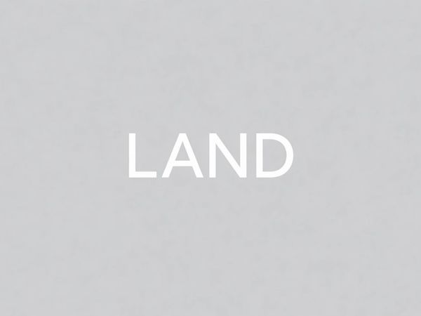 24732 S Murphy Lane, Monee, IL 60449