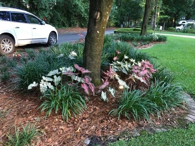 2006 NW 23rd Street, Gainesville, FL 32605 Photo