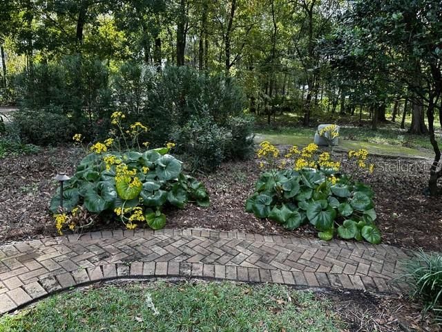 2006 NW 23rd Street, Gainesville, FL 32605 Photo