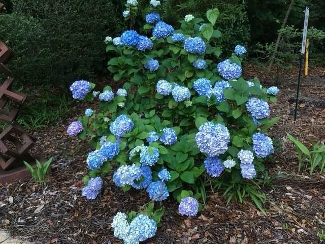 2006 NW 23rd Street, Gainesville, FL 32605 Photo