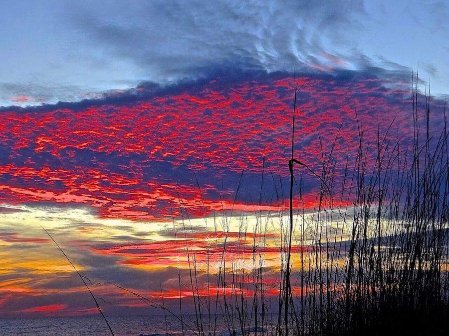 Property Image 85