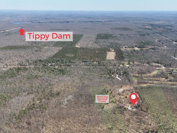 460 Seaman Road, Wellston, MI 49689