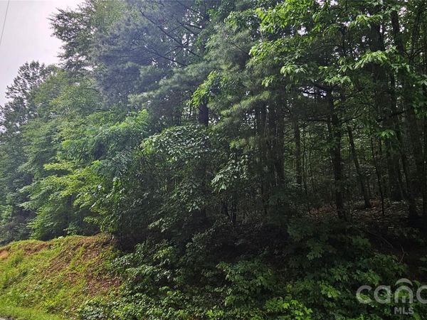 0 Old CCC Road , Hendersonville, NC 28739