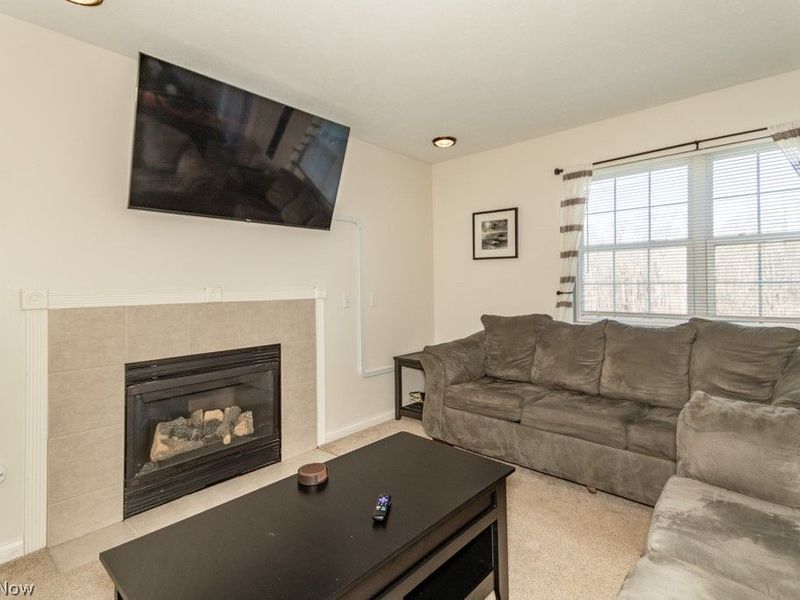 1999 Beringer Place, Harpersfield, OH 44041 Photo 19