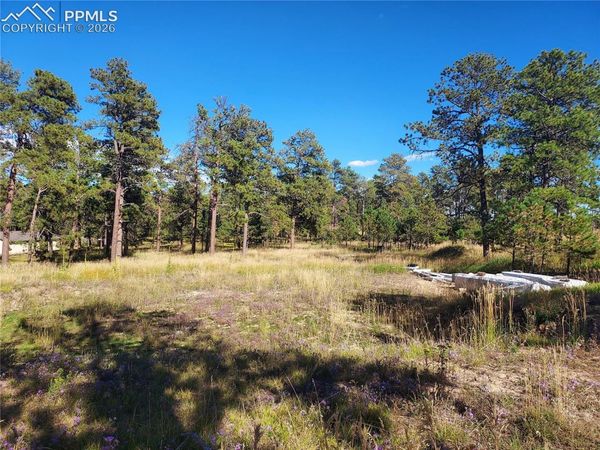 13395 Frank Road, Colorado Springs, CO 80908