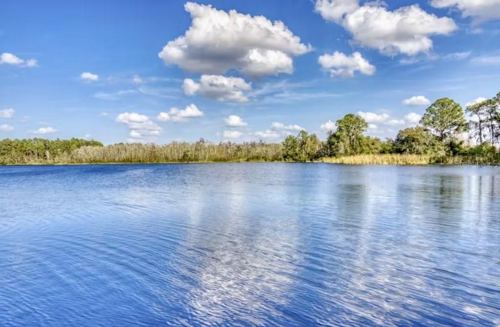 515 Rum Run, Unit 33303, Davenport, FL 33897 Photo