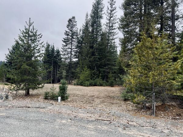 471 Long DR, Priest Lake, ID 83856