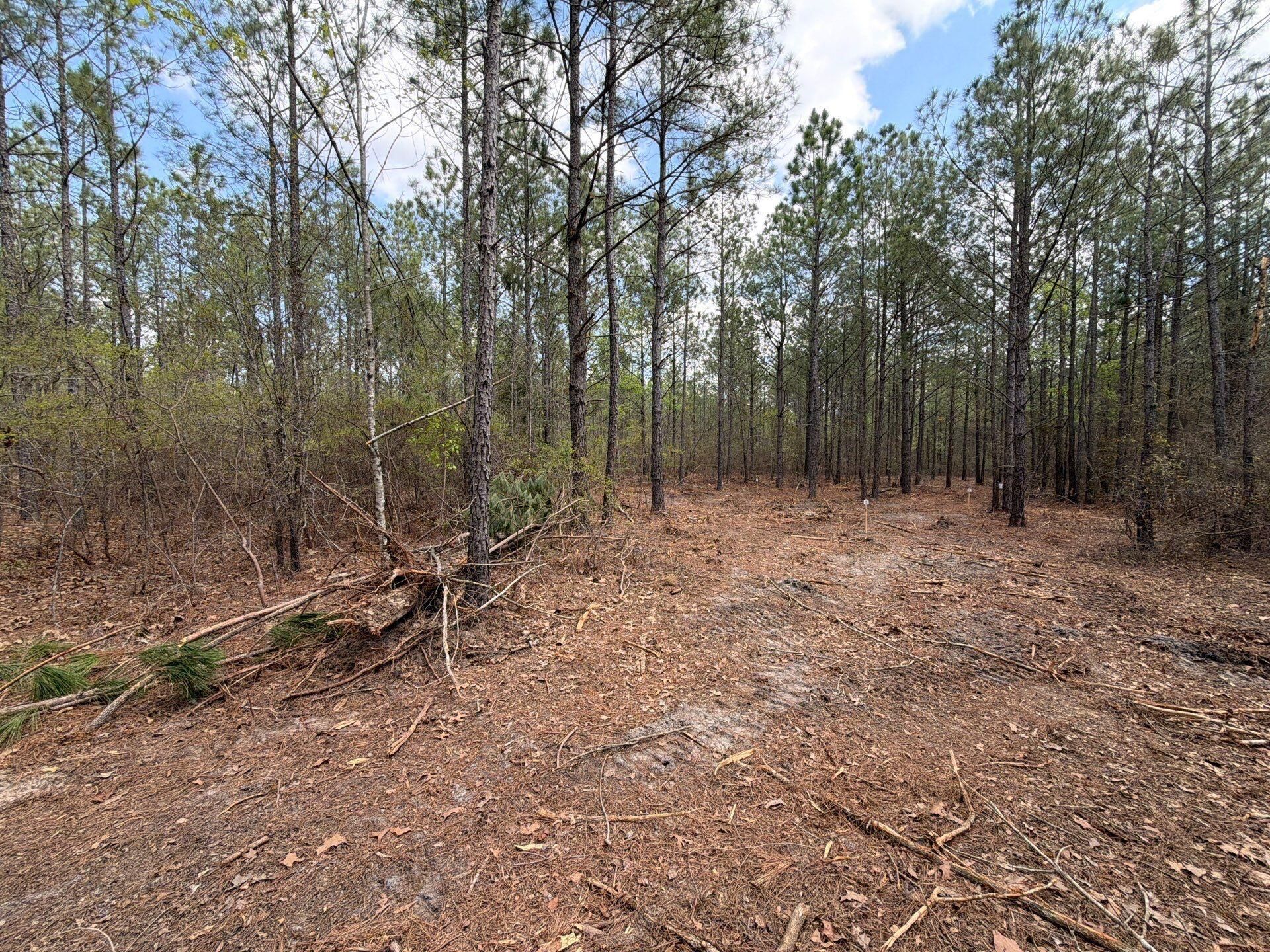 Cva 1 Mt. Calvary Road Photo 10