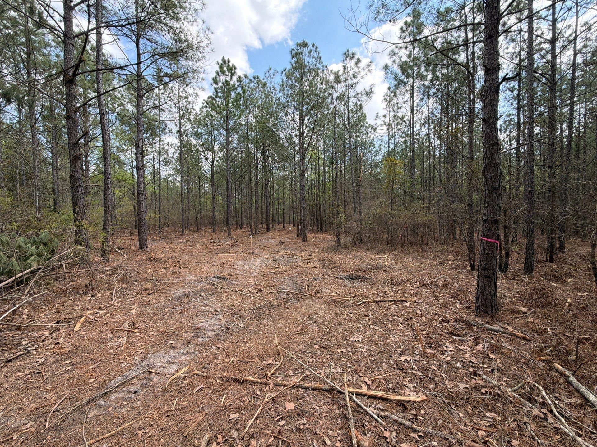 Cva 1 Mt. Calvary Road Photo 12