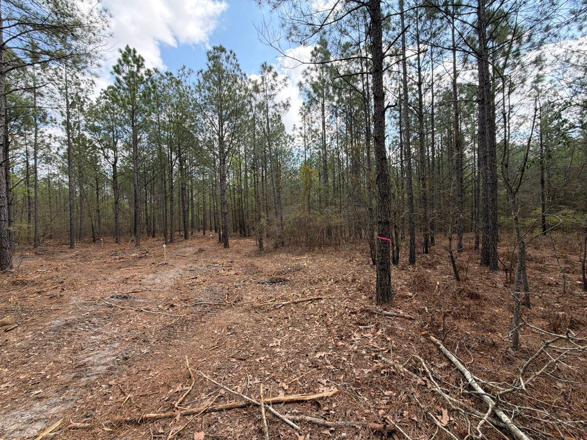 Cva 1 Mt. Calvary Road Photo 13