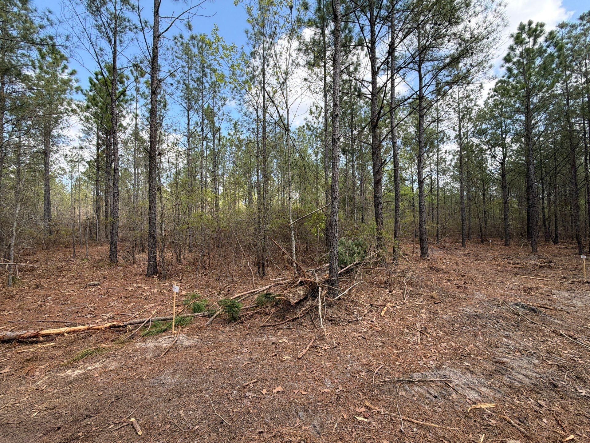 Cva 1 Mt. Calvary Road Photo 14