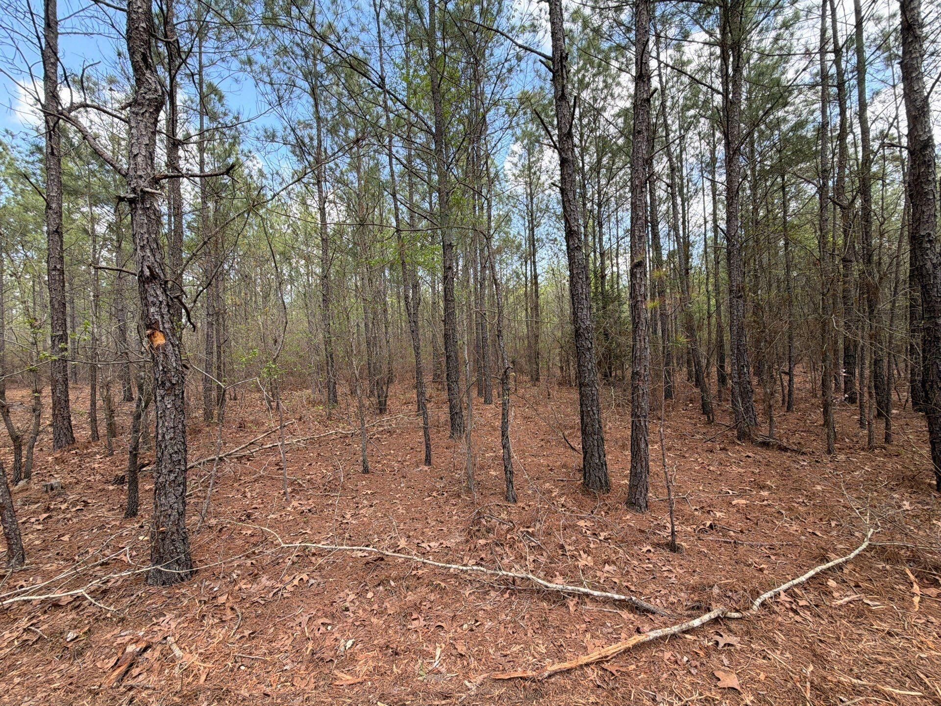 Cva 1 Mt. Calvary Road Photo 16