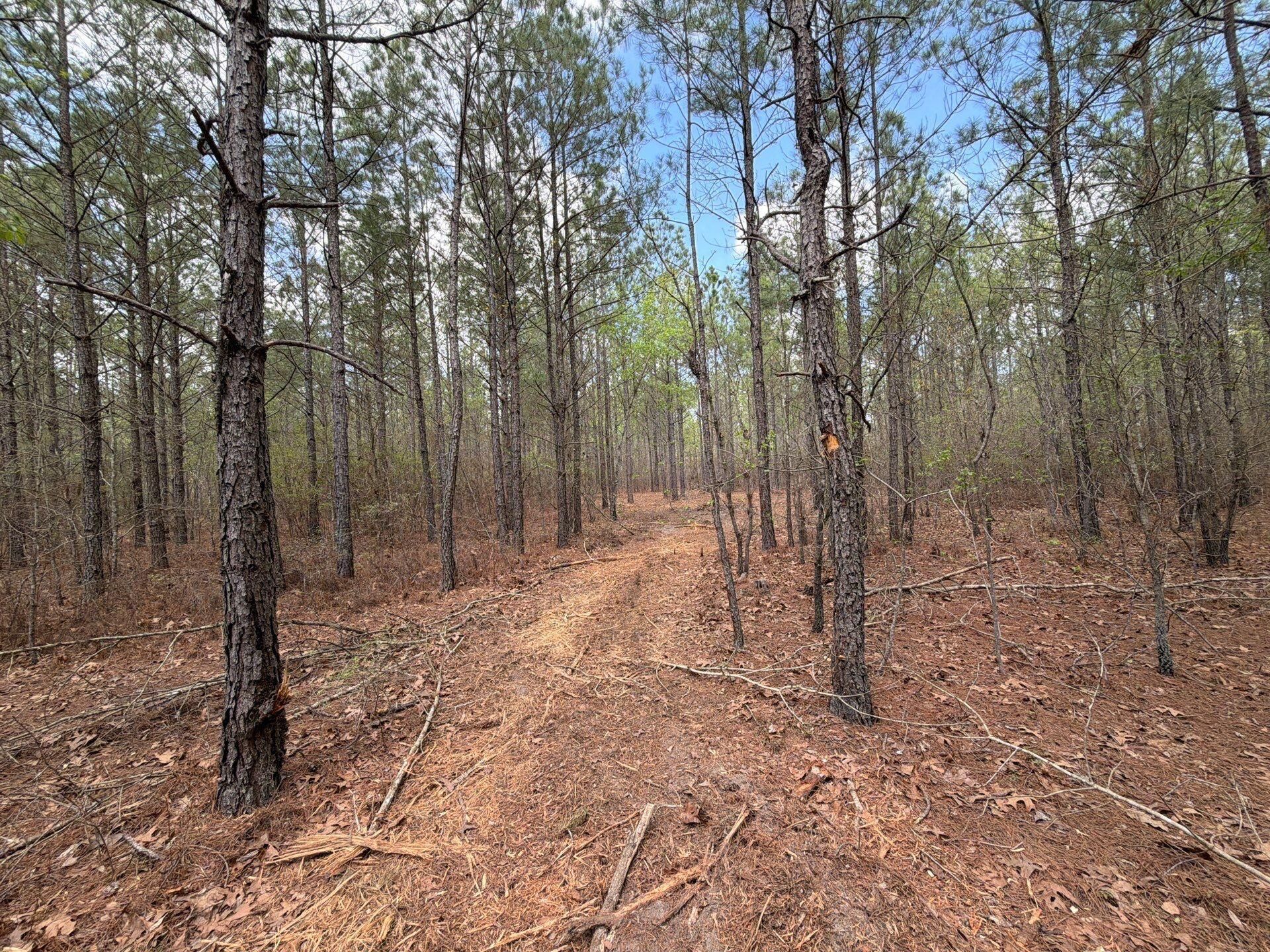 Cva 1 Mt. Calvary Road Photo 17