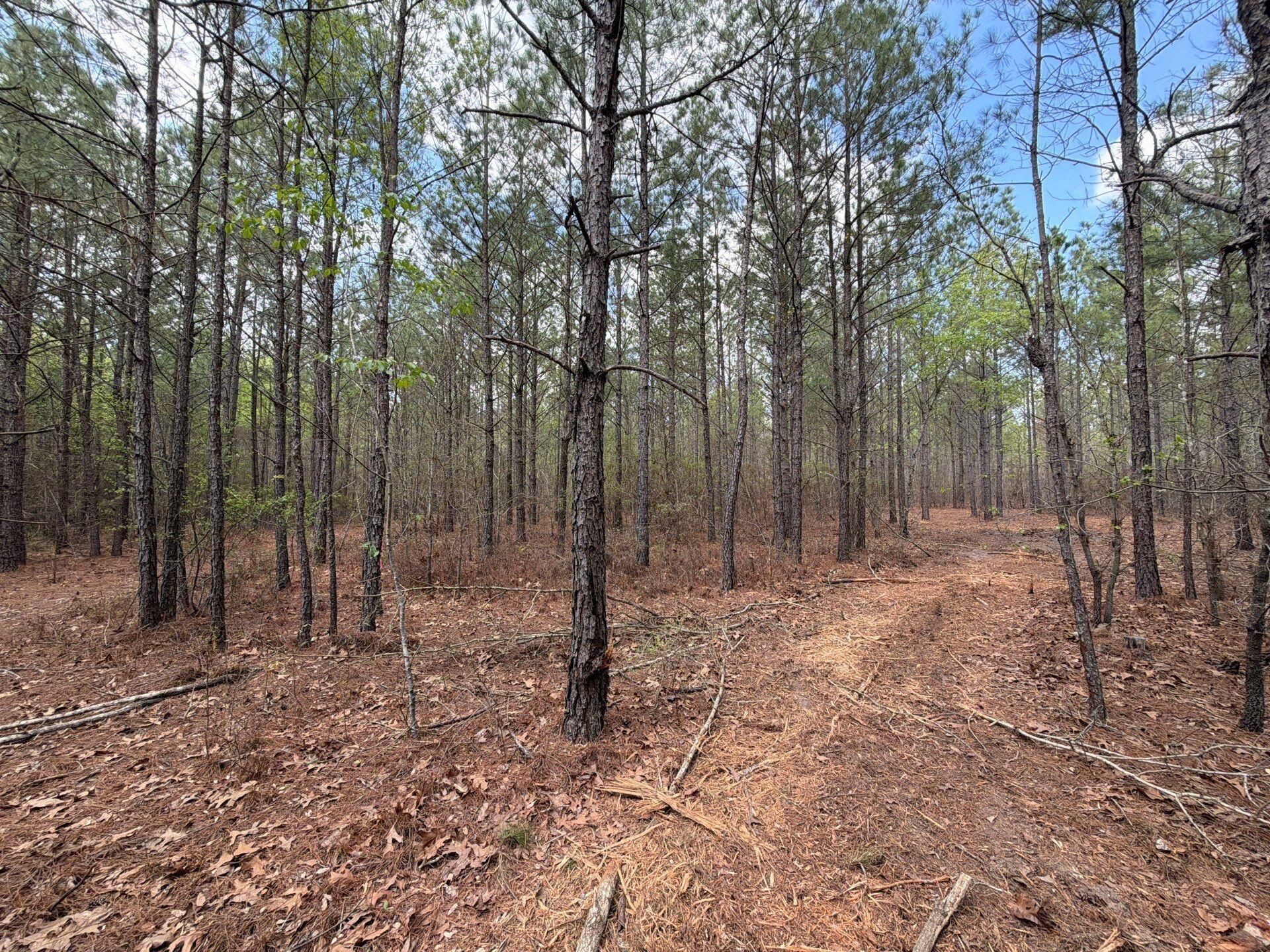 Cva 1 Mt. Calvary Road Photo 18