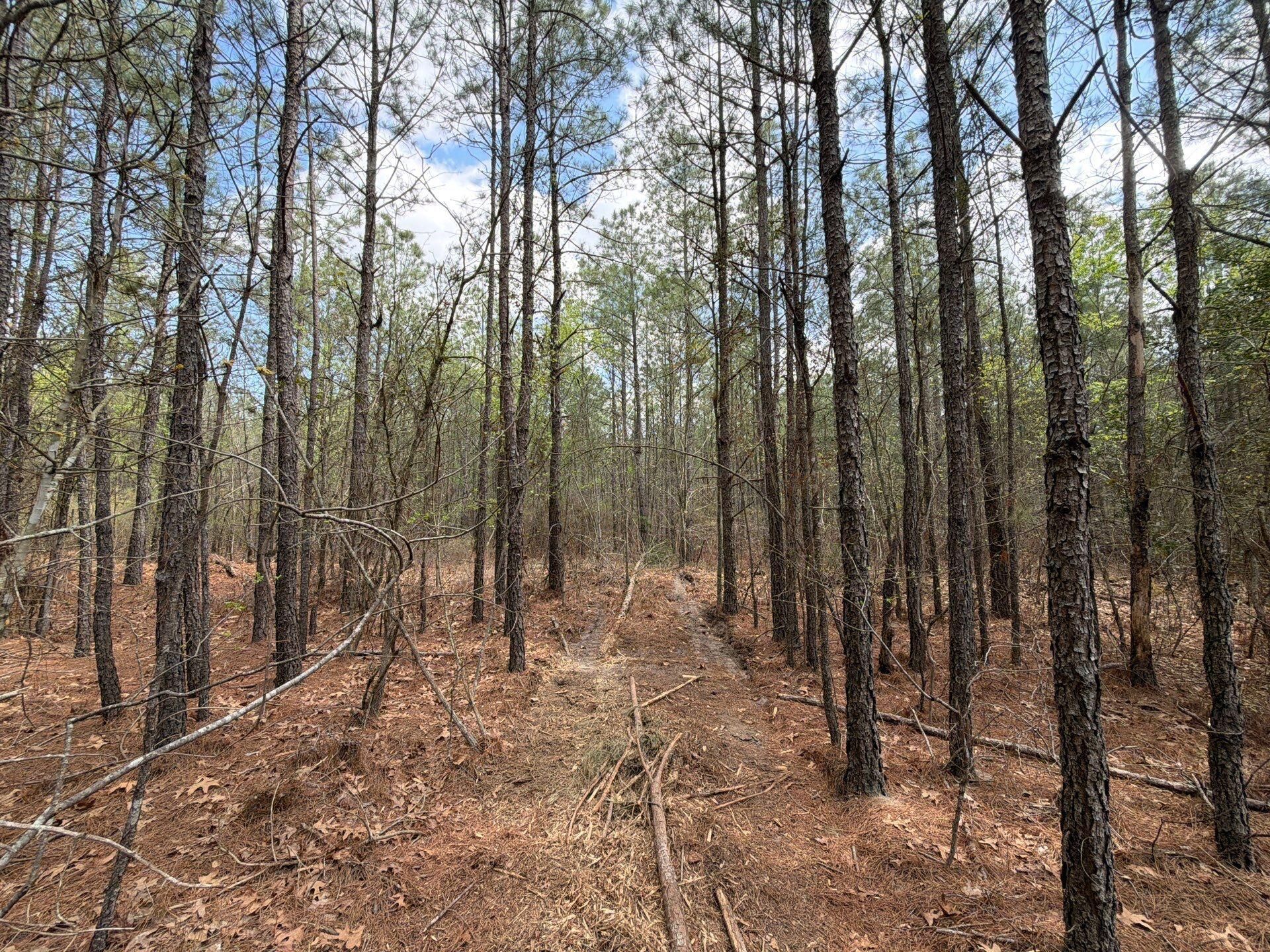 Cva 1 Mt. Calvary Road Photo 19