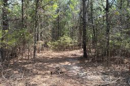 Cva 1 Mt. Calvary Road photo 4