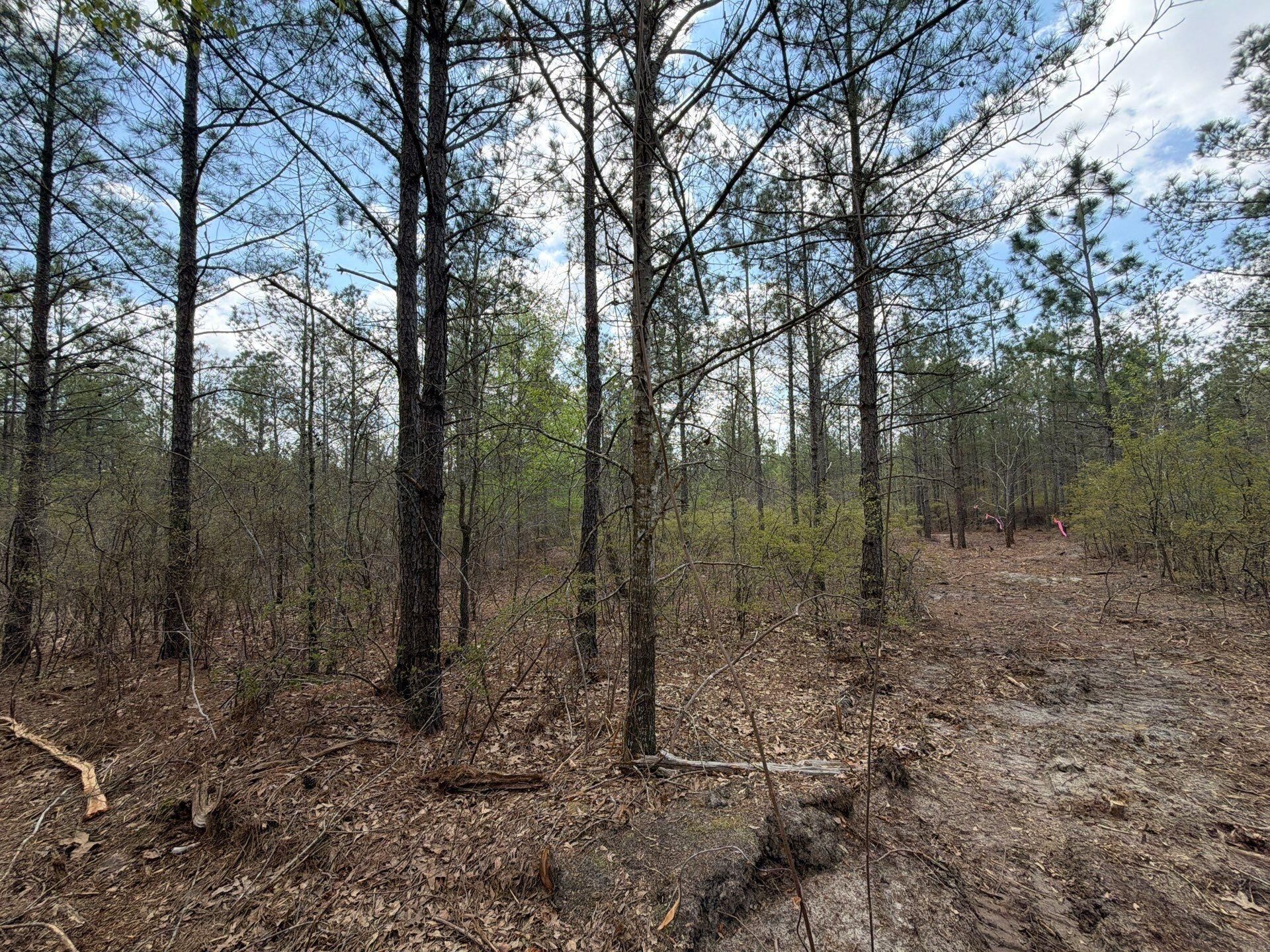 Cva 1 Mt. Calvary Road Photo 27