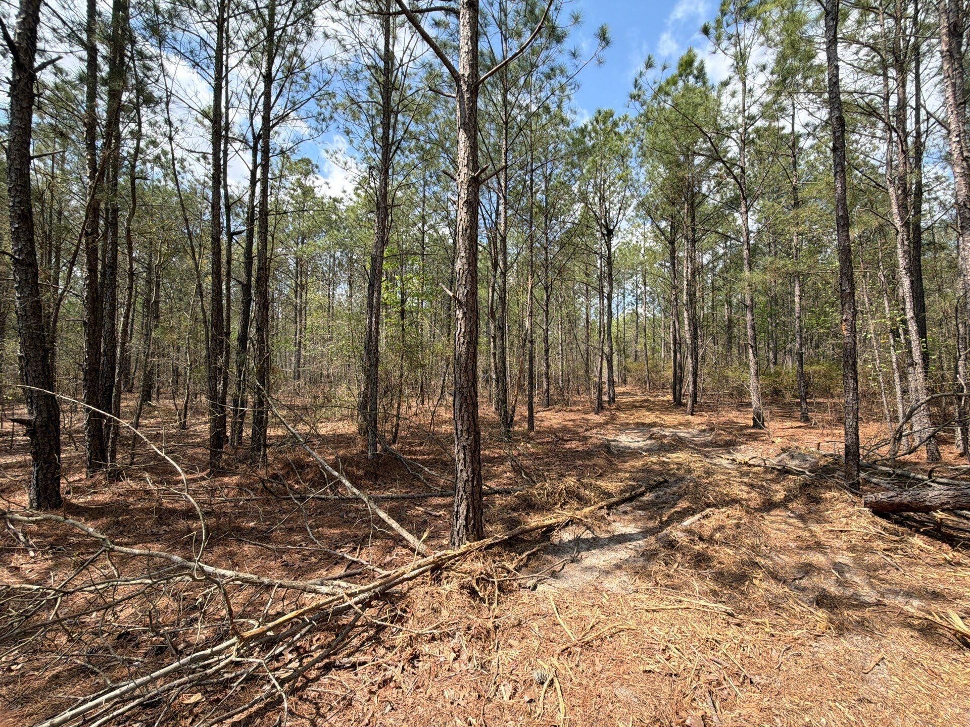 Cva 1 Mt. Calvary Road Photo 29