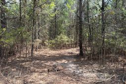 Cva 1 Mt. Calvary Road photo 4