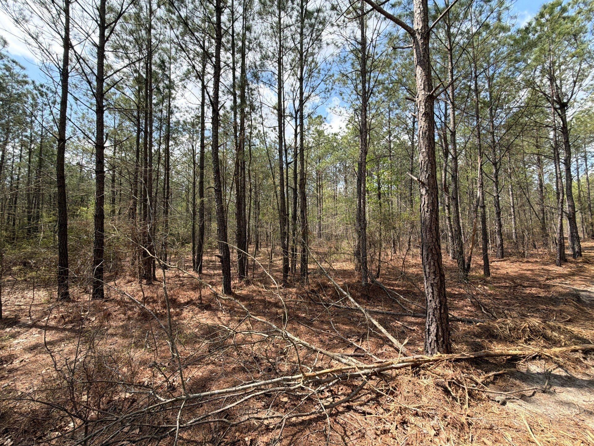 Cva 1 Mt. Calvary Road Photo 30