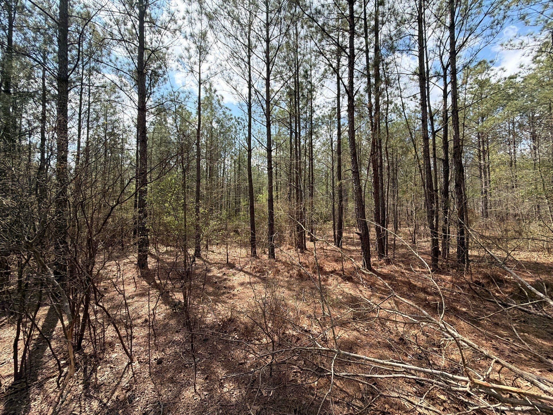 Cva 1 Mt. Calvary Road Photo 31