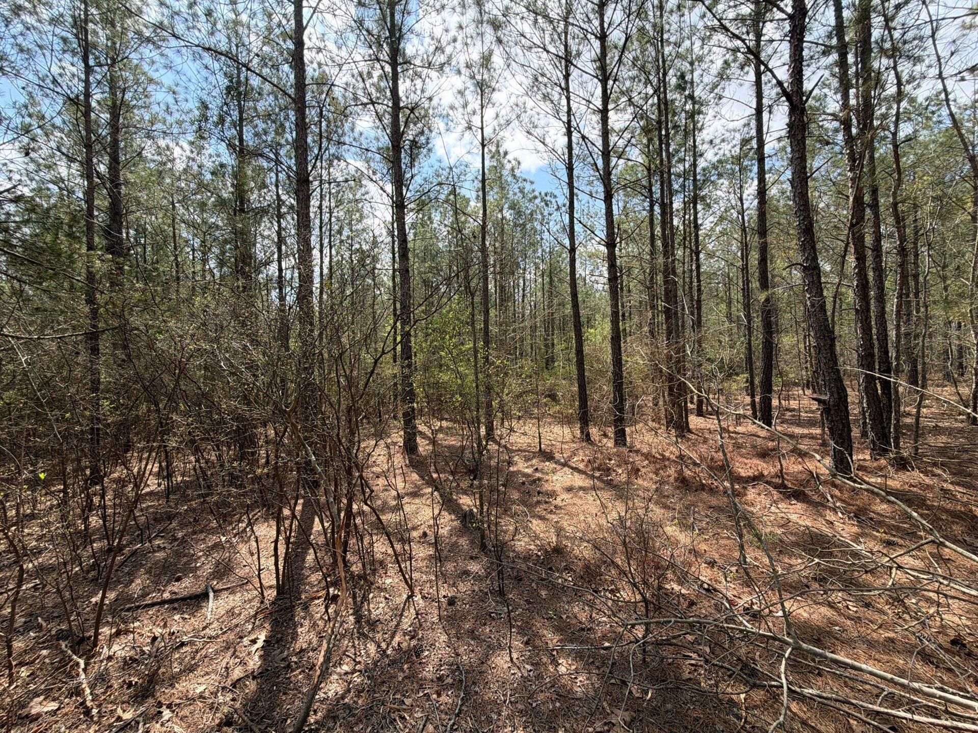 Cva 1 Mt. Calvary Road Photo 35