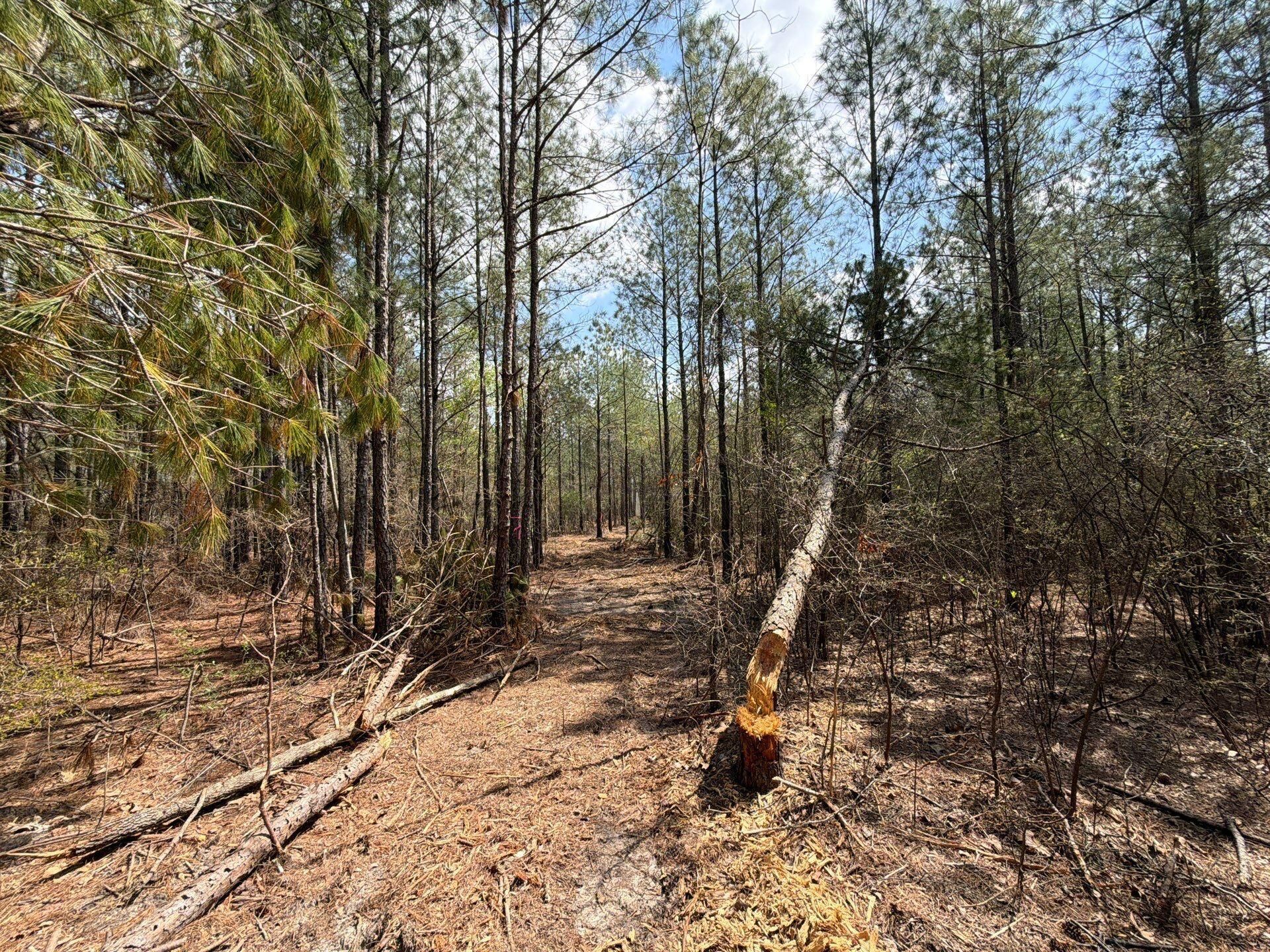 Cva 1 Mt. Calvary Road Photo 36