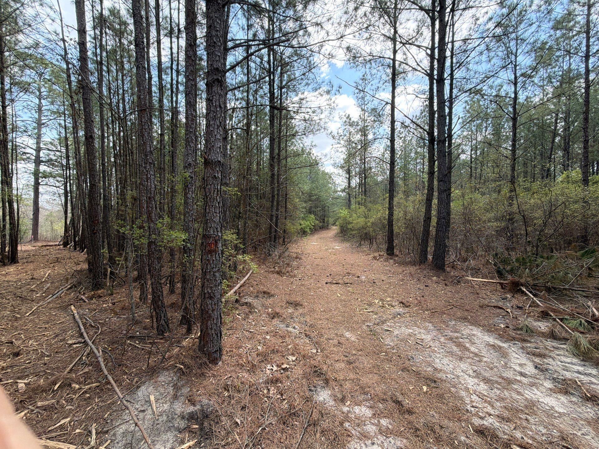 Cva 1 Mt. Calvary Road Photo 37