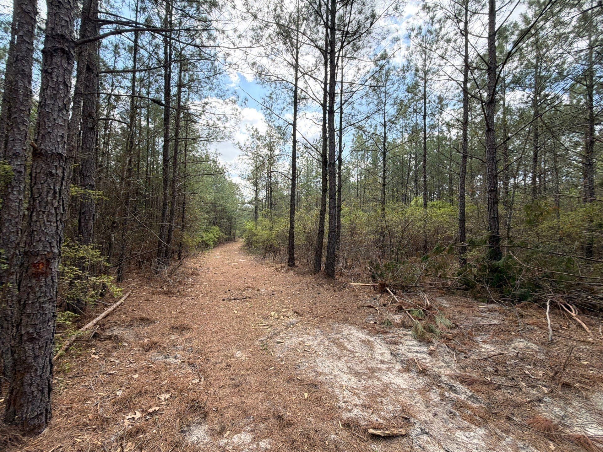 Cva 1 Mt. Calvary Road Photo 38