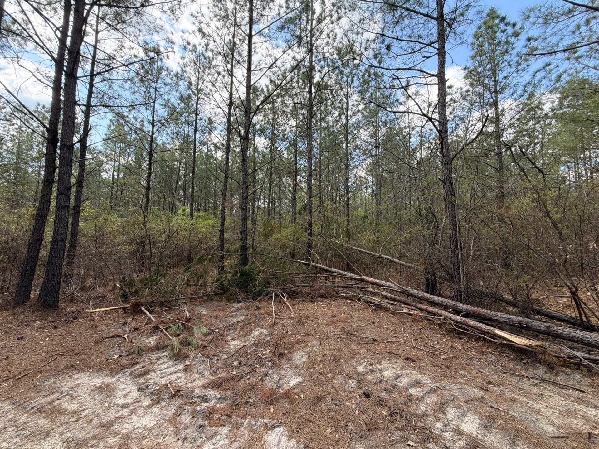 Cva 1 Mt. Calvary Road Photo 39