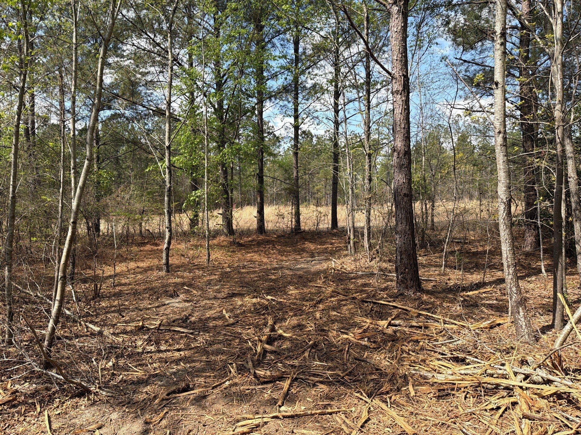 Cva 1 Mt. Calvary Road Photo 4