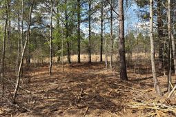 Cva 1 Mt. Calvary Road photo 4