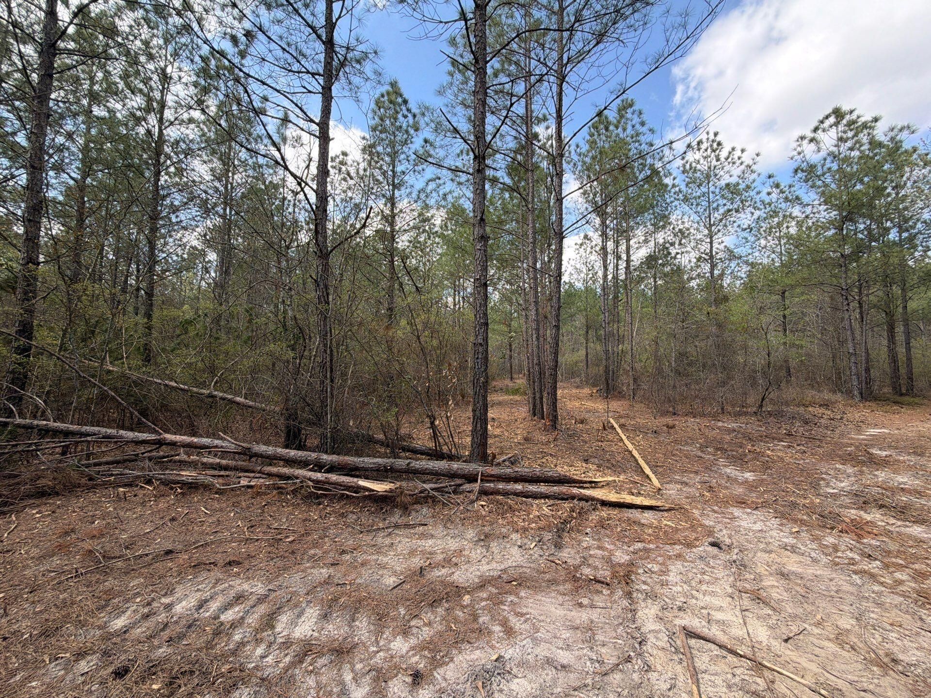 Cva 1 Mt. Calvary Road Photo 40