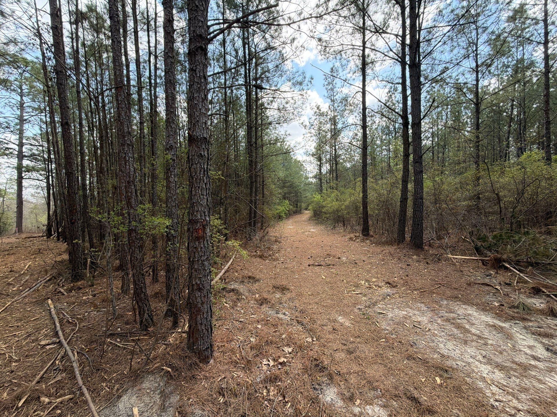 Cva 1 Mt. Calvary Road Photo 41