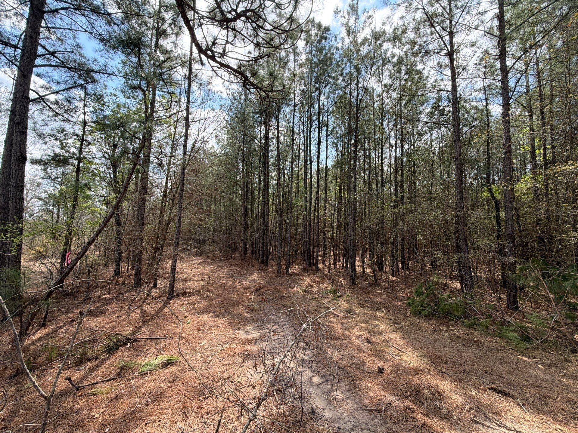 Cva 1 Mt. Calvary Road Photo 42