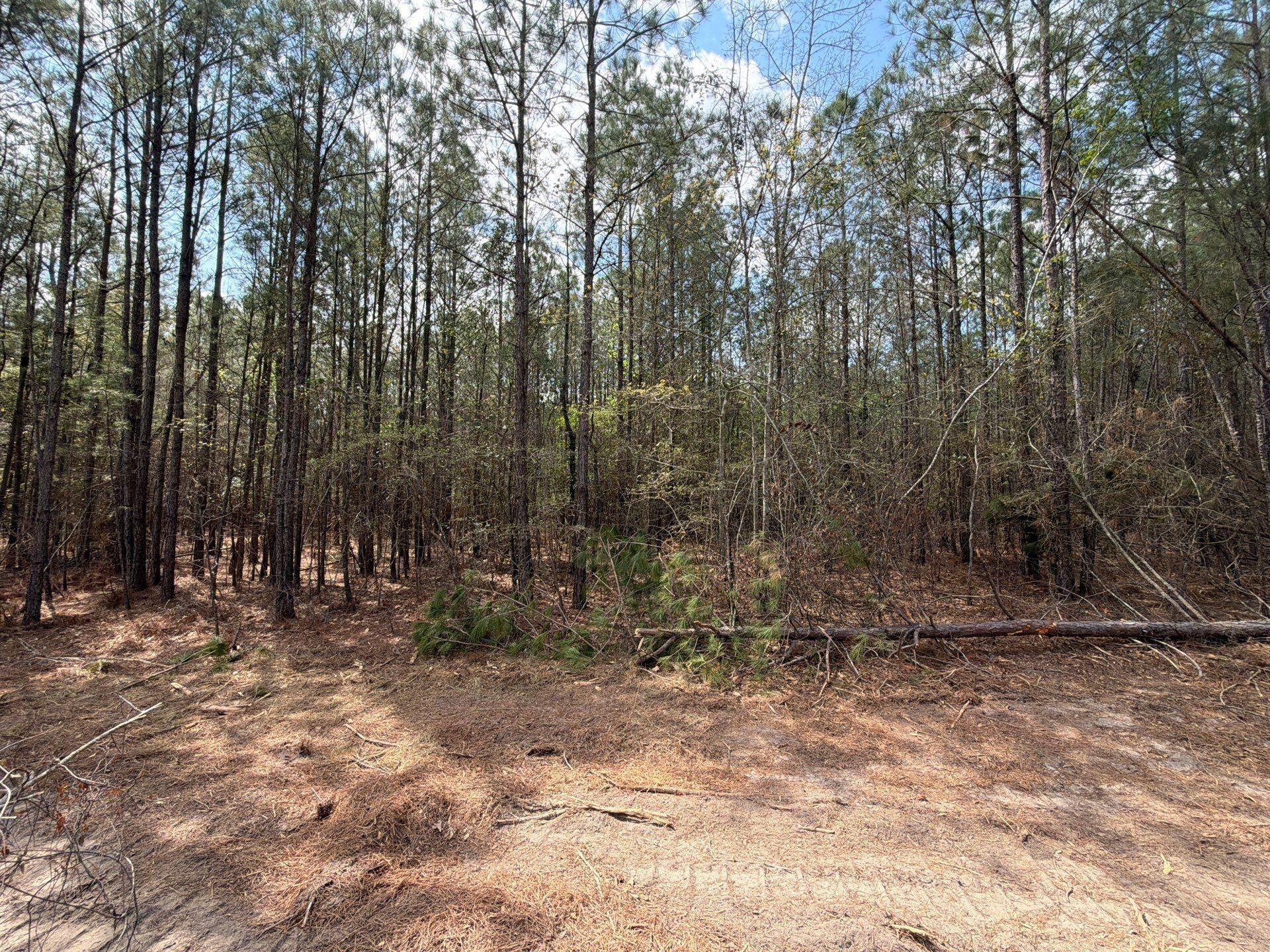 Cva 1 Mt. Calvary Road Photo 43