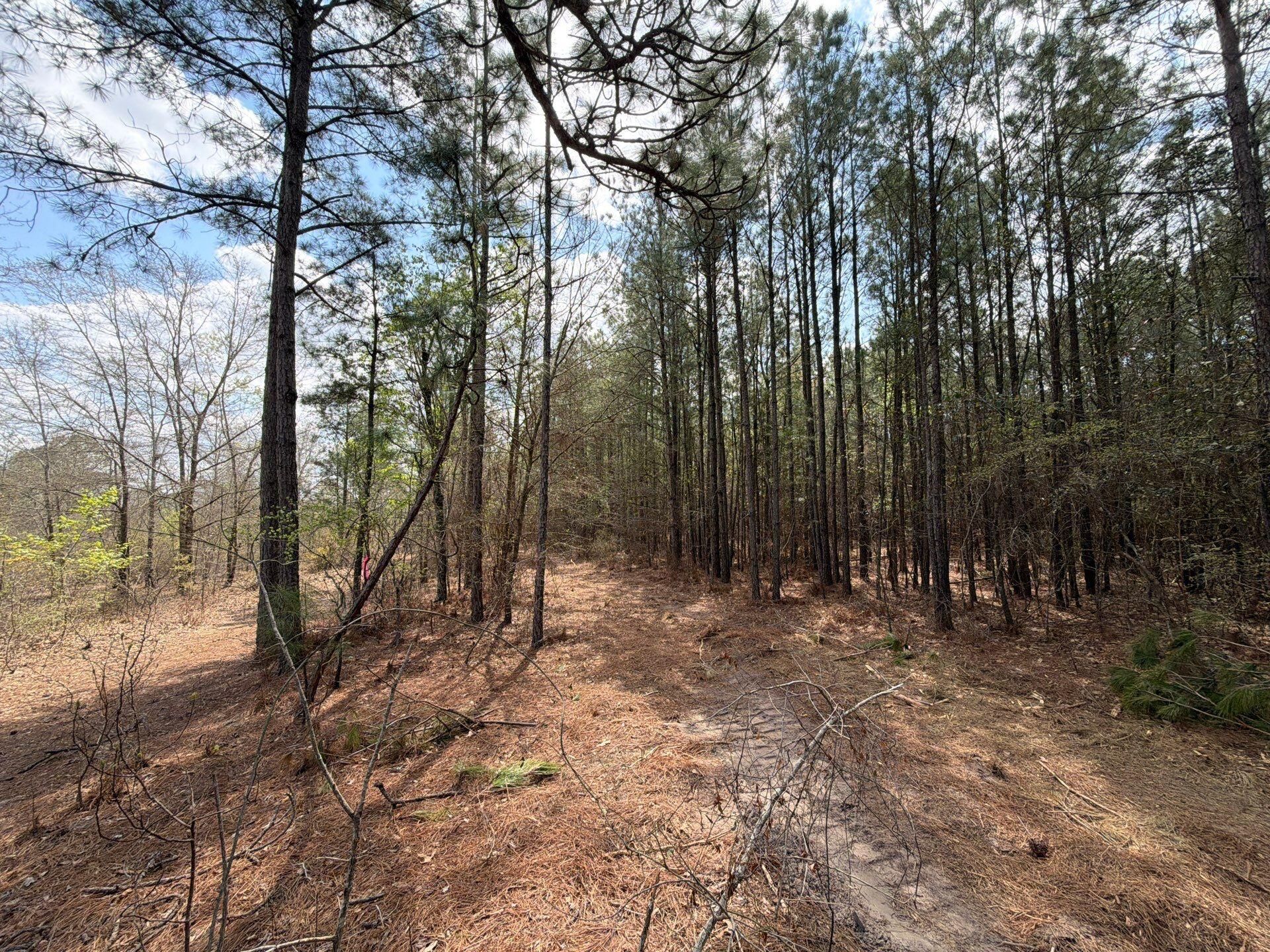 Cva 1 Mt. Calvary Road Photo 44