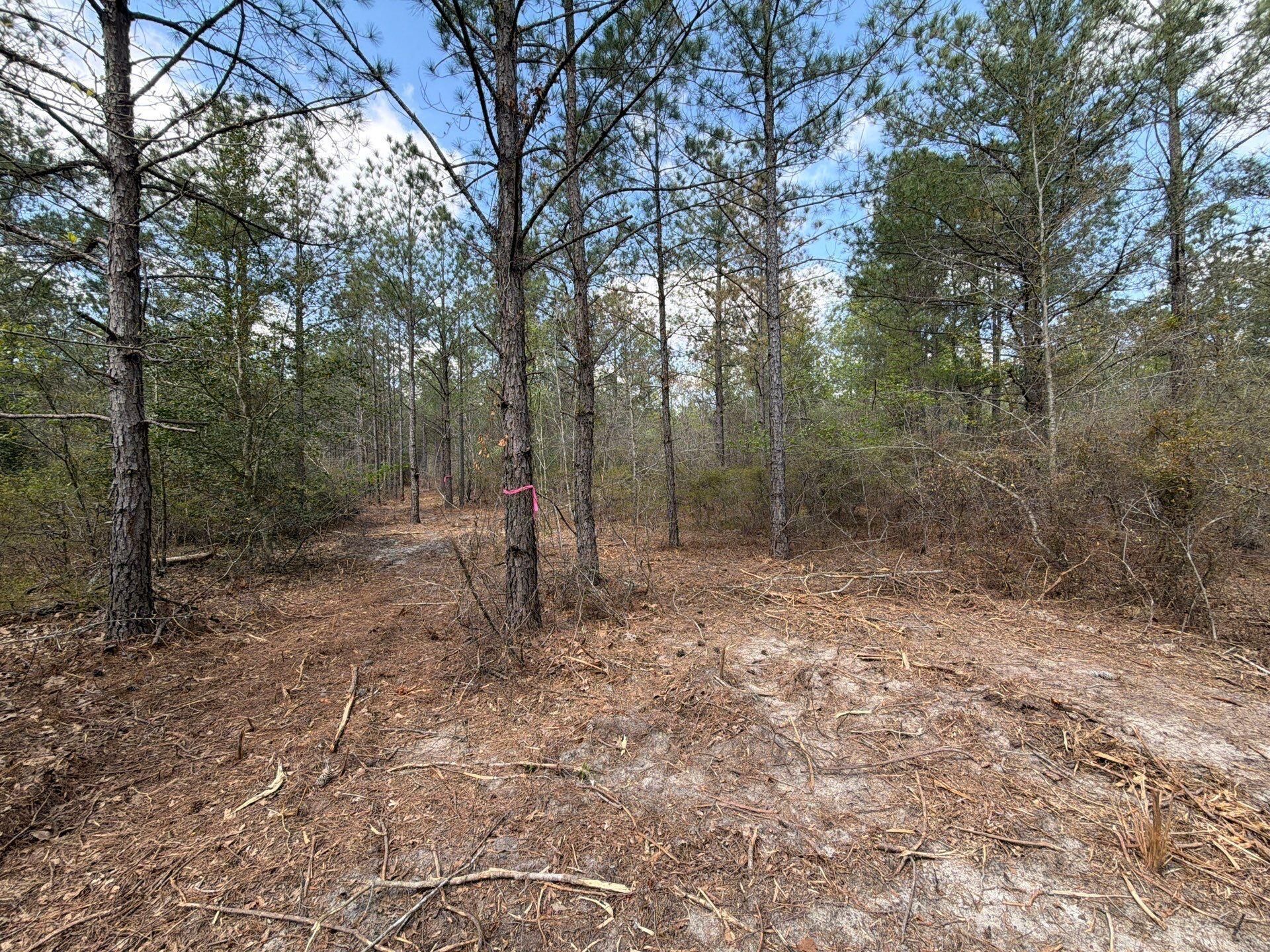 Cva 1 Mt. Calvary Road Photo 46