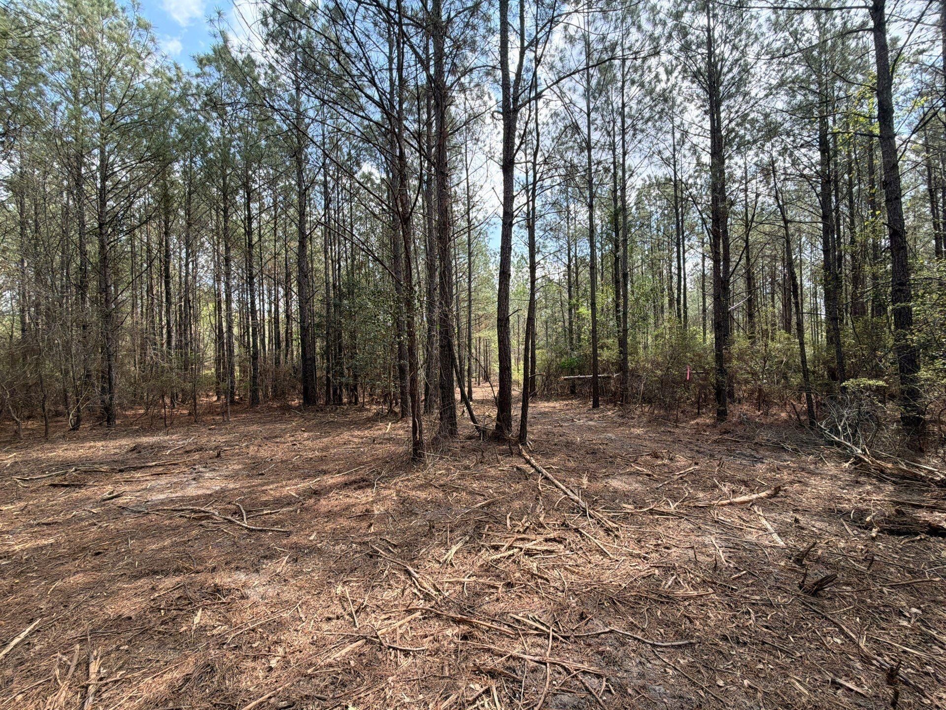 Cva 1 Mt. Calvary Road Photo 5