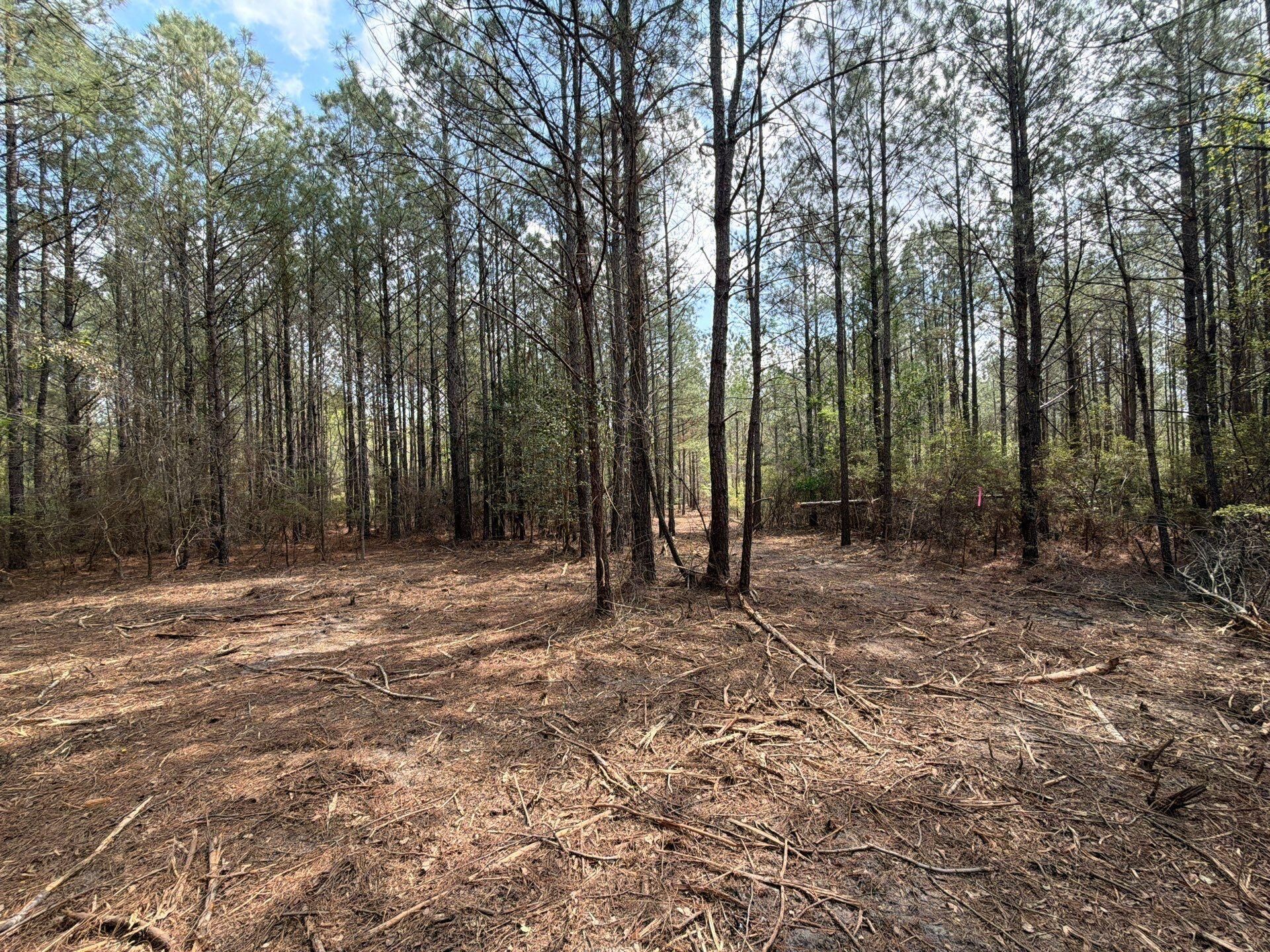 Cva 1 Mt. Calvary Road Photo 6