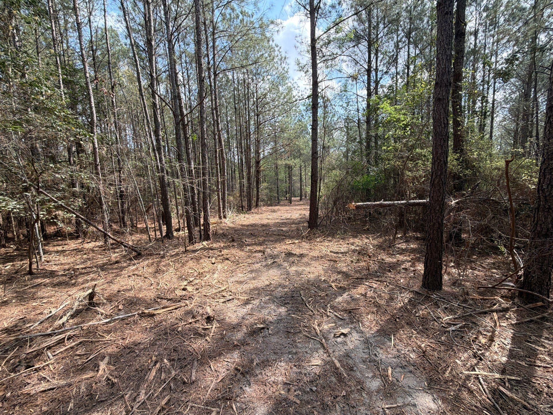 Cva 1 Mt. Calvary Road Photo 7