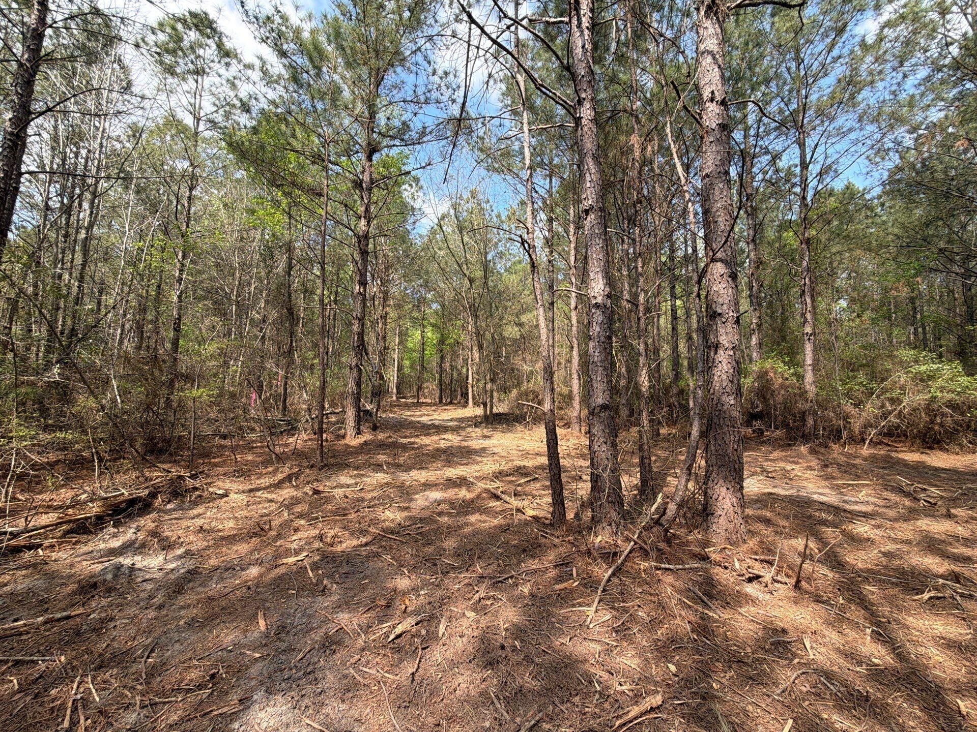 Cva 1 Mt. Calvary Road Photo 9