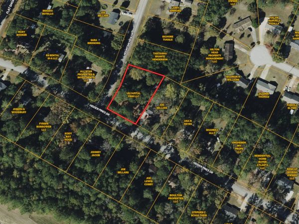 55 Hidden Pines Drive, Covington, GA 30016