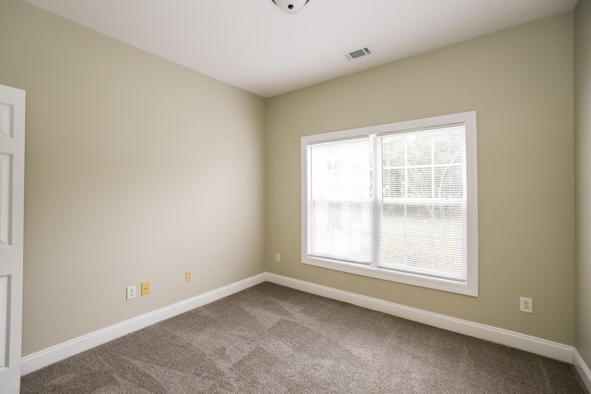 4901 Pineridge Road Photo 8