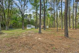 1045 Rushing Road  photo 4