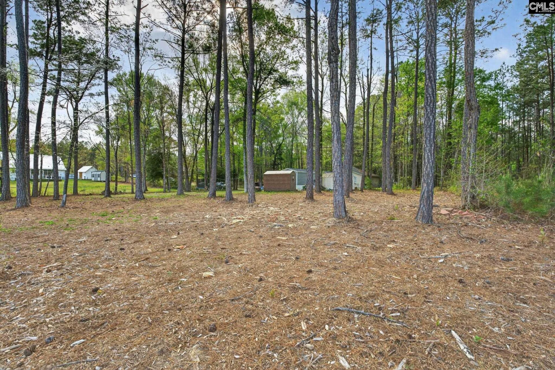 1045 Rushing Road  Photo 6