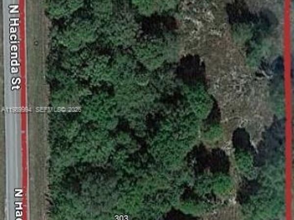 303 Bald Cypress , Clewiston, FL 33440