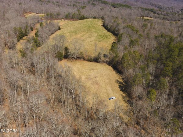 50 Acres Sutton Hollow Rd, Sneedville, TN 37869