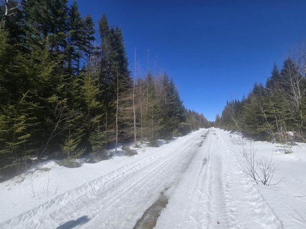 AR105P4 Jemtland Road , Connor Twp, ME 04762